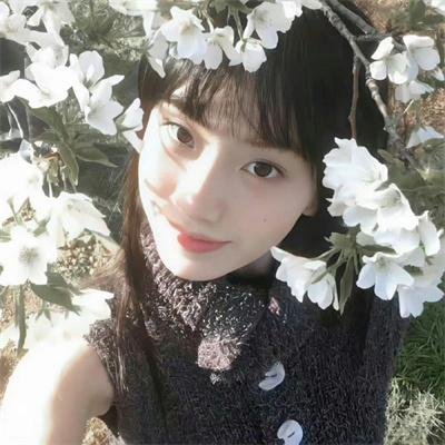 新片焦点